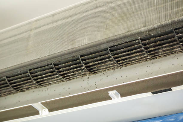Best Air Duct Cleaning Near Me  in Pacific City, OR